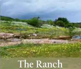 About the West 1077 Guest Ranch